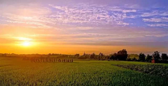 創(chuàng)業(yè)十年，沉潛內(nèi)修 | 創(chuàng)星周報